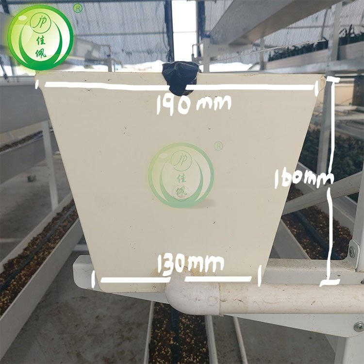 agriculture hydroponic planting gutters to grow tomatoes and bell peppers