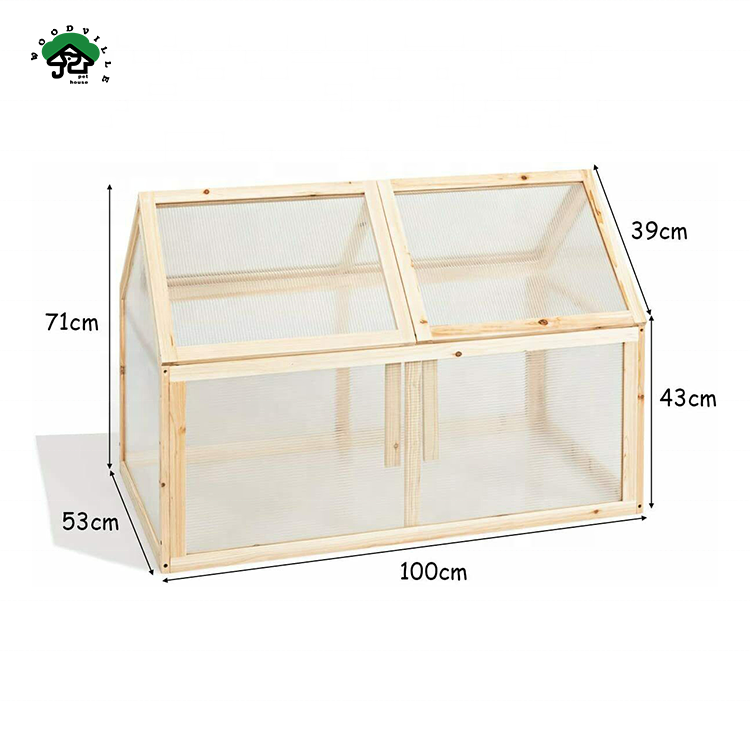 Environment Friendly Agricultural Small Garden Greenhouse for Plant and Vegetable