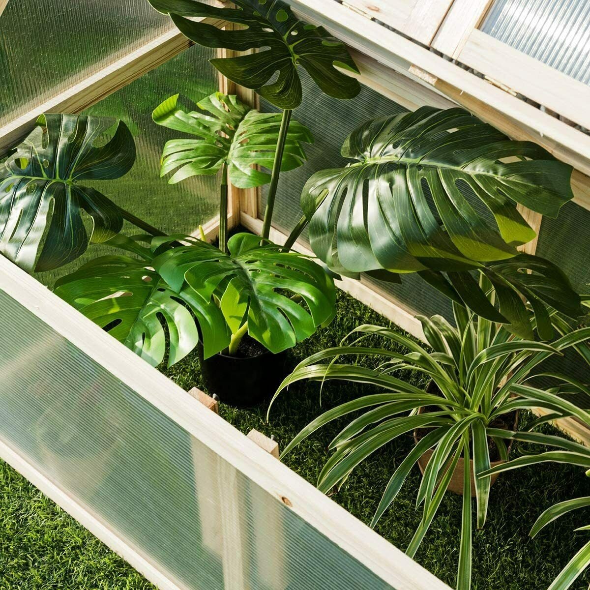 Environment Friendly Agricultural Small Garden Greenhouse for Plant and Vegetable