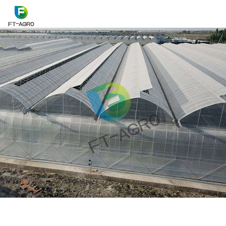 The commercial professional cheapest plastic multi-span polyethylene film greenhouse for sale