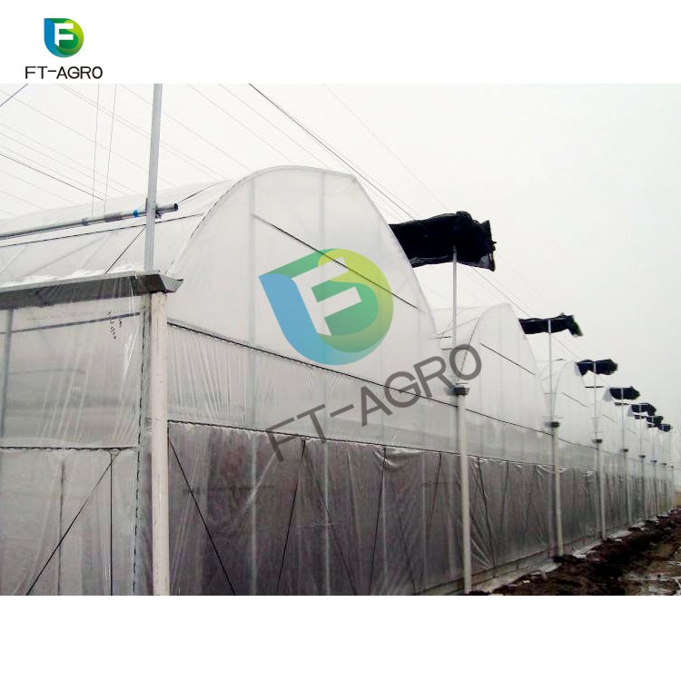 The commercial professional cheapest plastic multi-span polyethylene film greenhouse for sale