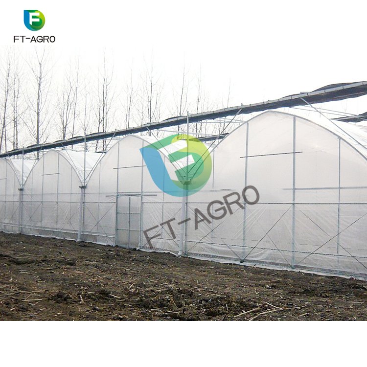 The commercial professional cheapest plastic multi-span polyethylene film greenhouse for sale