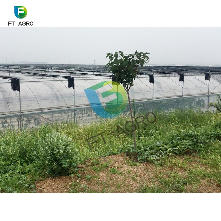 The commercial professional cheapest plastic multi-span polyethylene film greenhouse for sale