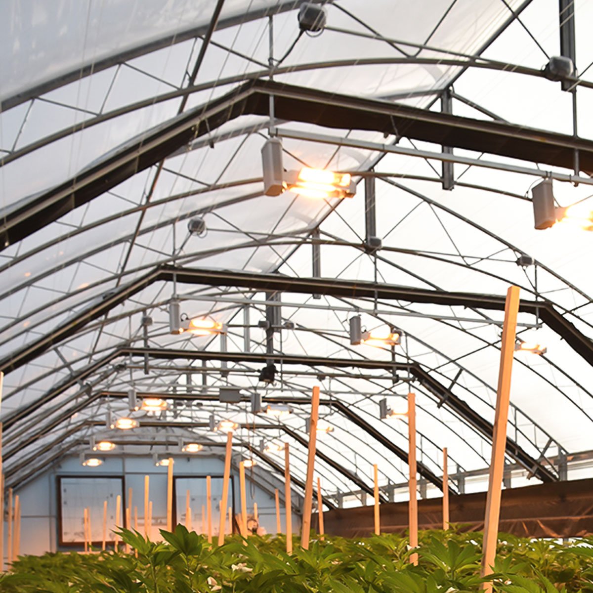 Competitive Price Auto Light Deprivation Greenhouse Blackout Greenhouse Light Deprivation Light Deprivation Greenhouse For Sale