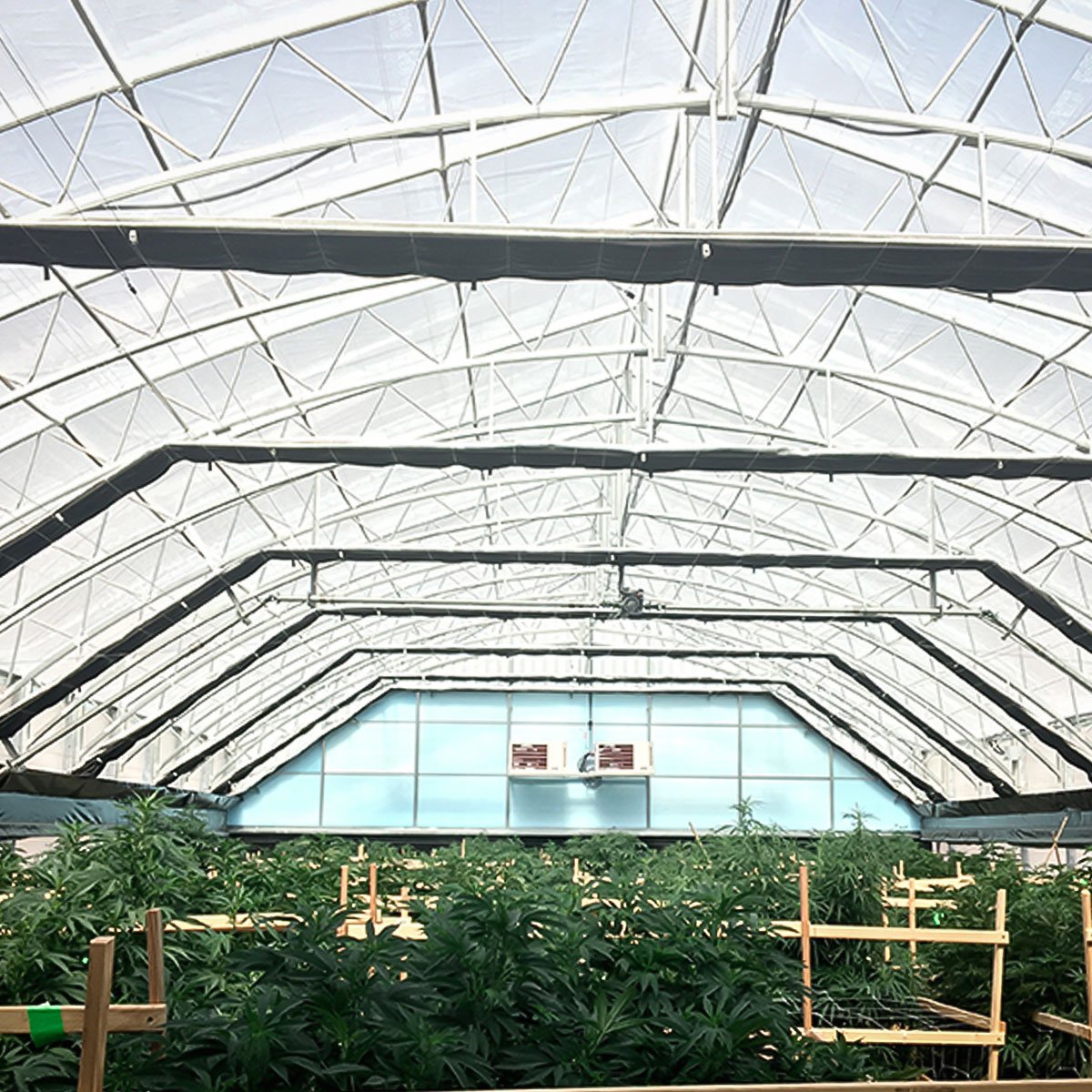 Competitive Price Auto Light Deprivation Greenhouse Blackout Greenhouse Light Deprivation Light Deprivation Greenhouse For Sale