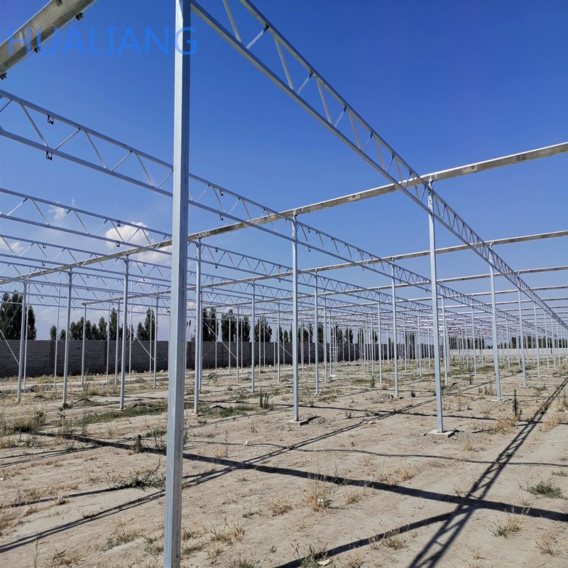 Multi-span Greenhouses for strawberry grape raspberry with vertical farming aquaponics growing systems