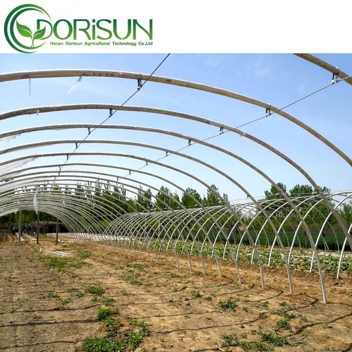 Hot sale 30x8 m agricultural and commercial tomato greenhouse for sale