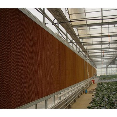 Large Wet Wall Evaporative Cooling panels Pad and Fan for Greenhouses Paper Product for Agriculture Greenhouse for Sale