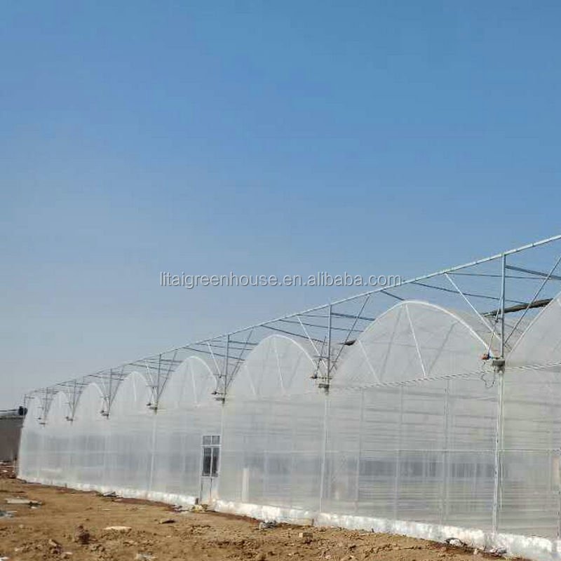 poultry farm green house for sale