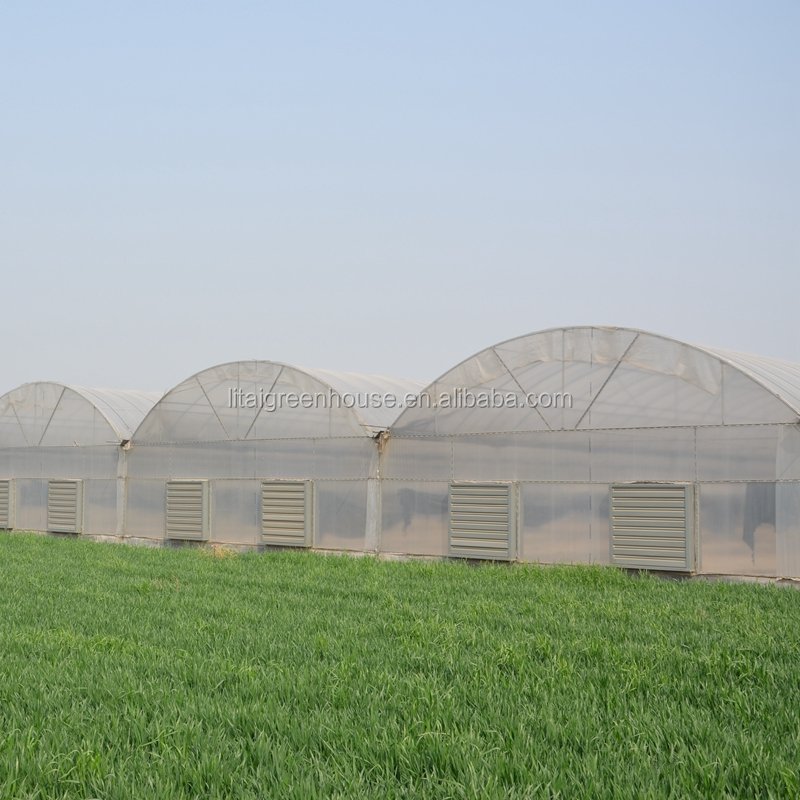 poultry farm green house for sale