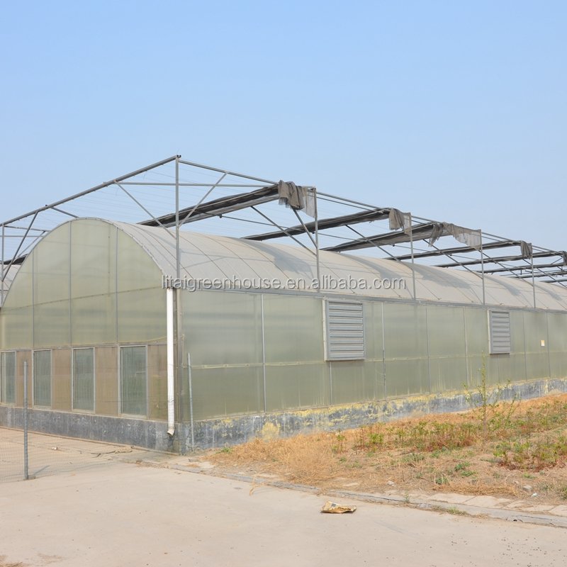 poultry farm green house for sale