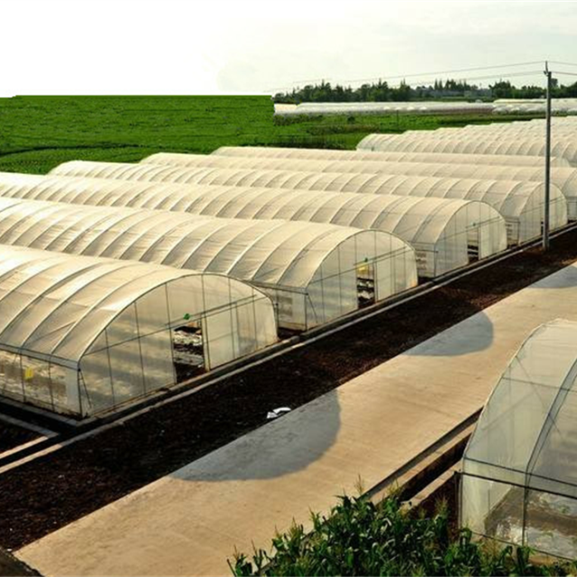 Commercial used commerica greenhouse for agriculture