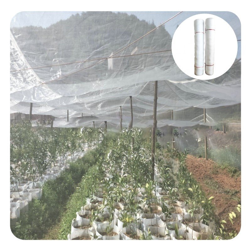 Agricultural Insect Net 25 32 40 50 60 Mesh Anti Insect Mosquito Hail Net For Protecting Greenhouse HDPE net insect proof screen