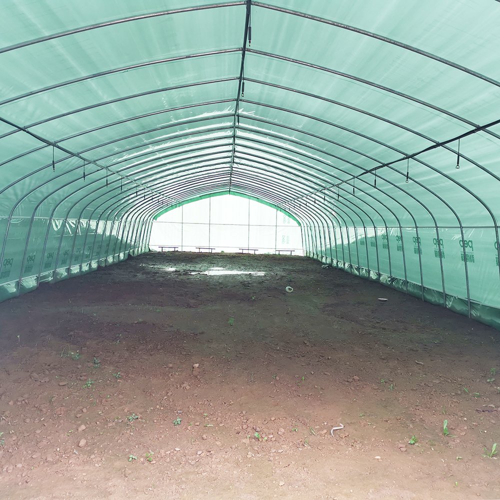 Large Size High Tunnel Agricultural Greenhouse for Tomato growing Green House
