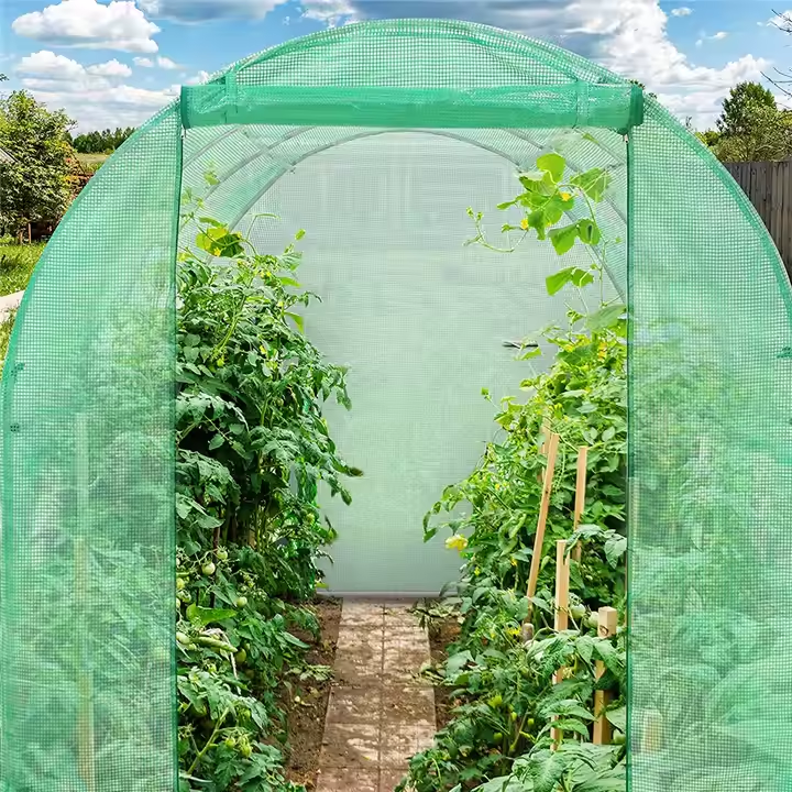 frame plastic film agricultural greenhouse high tunnel Polytunnel Greenhouse