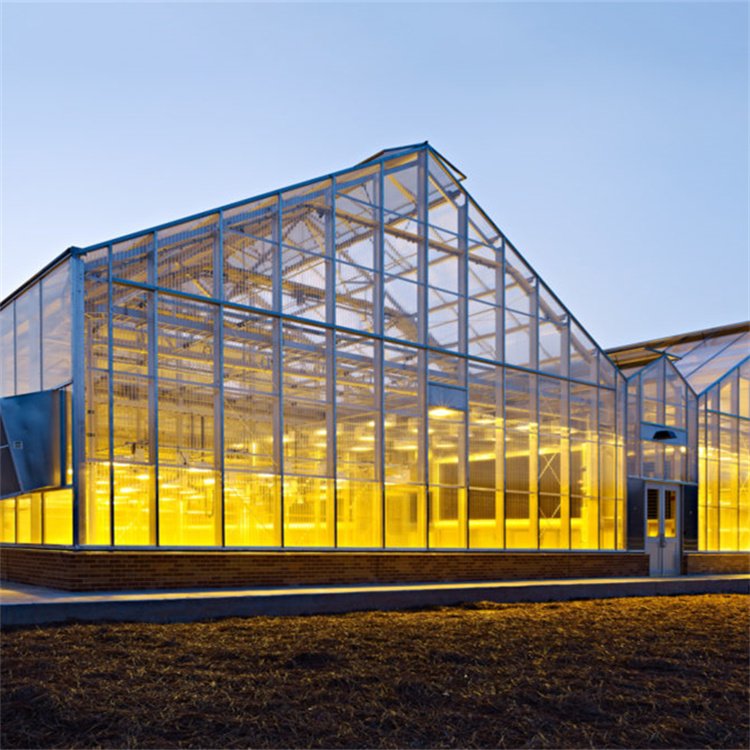 Baolida Commercial Glass Greenhouse Shade Green House For Plants Vegetables Flowers Growing