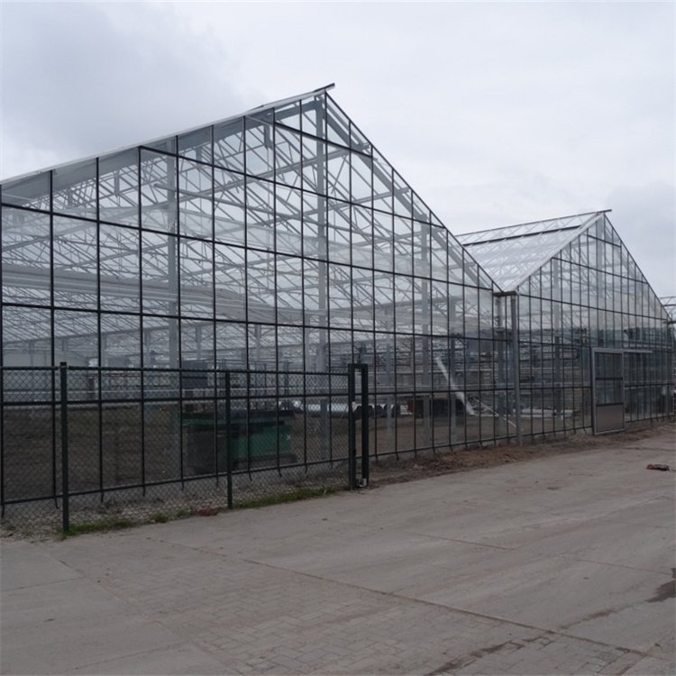 Baolida Commercial Glass Greenhouse Shade Green House For Plants Vegetables Flowers Growing