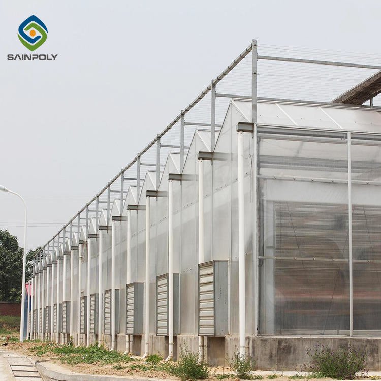 Hot Sale Sainpoly Polycarbonate Greenhouse with Steel Frame and PC Sheet Cover For Agricultural