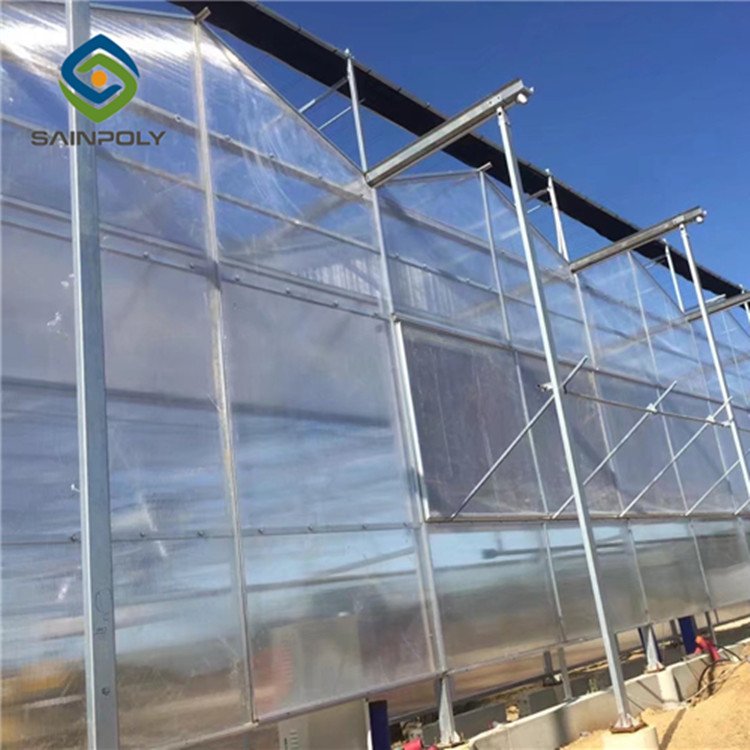 Hot Sale Sainpoly Polycarbonate Greenhouse with Steel Frame and PC Sheet Cover For Agricultural