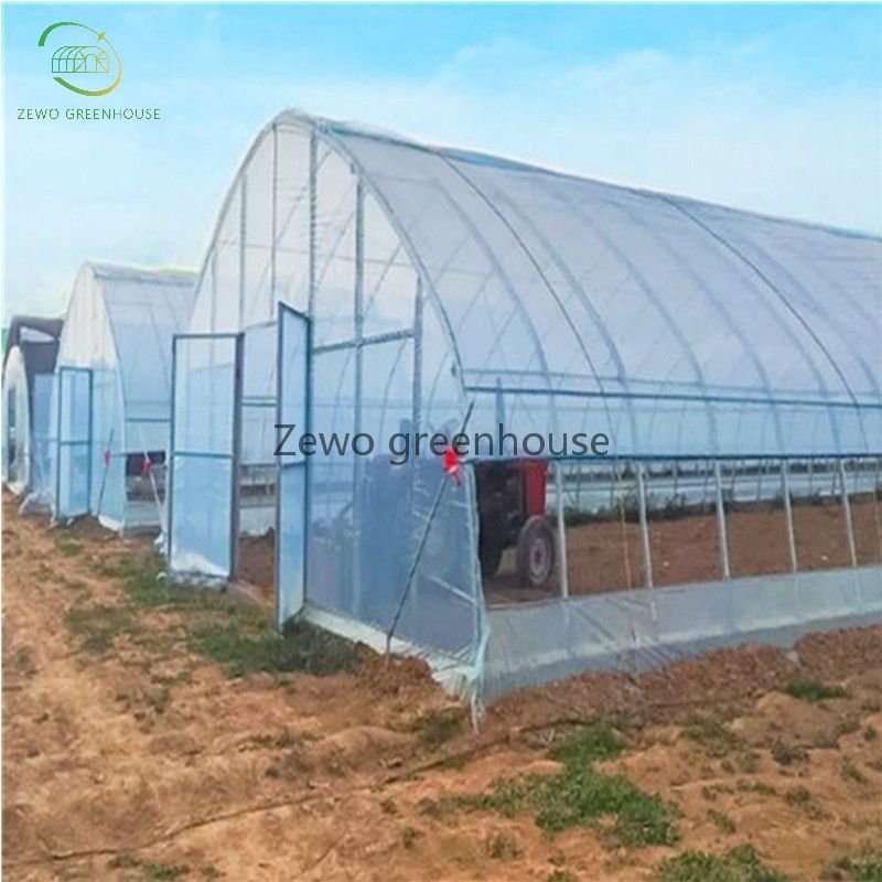 Film Large Greenhouses Hydroponics Growing Agricultural Greenhouses Pimentones Arch Plastic Customize Transparent from CN;JIA