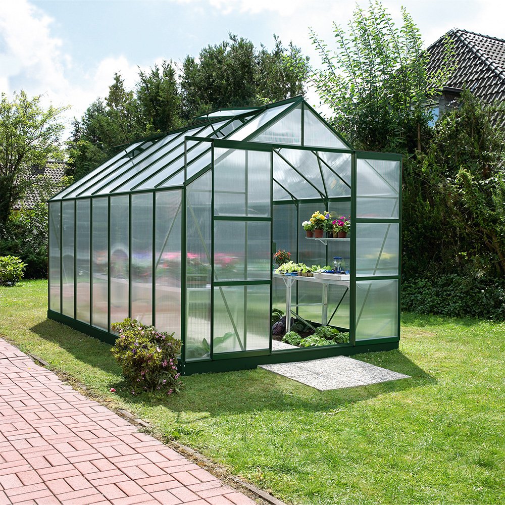 Hot Sale Small Tunnel Agricultural Greenhouse For Tomato Growing Vegetable Green Farm House Garden Tunnel Greenhouse