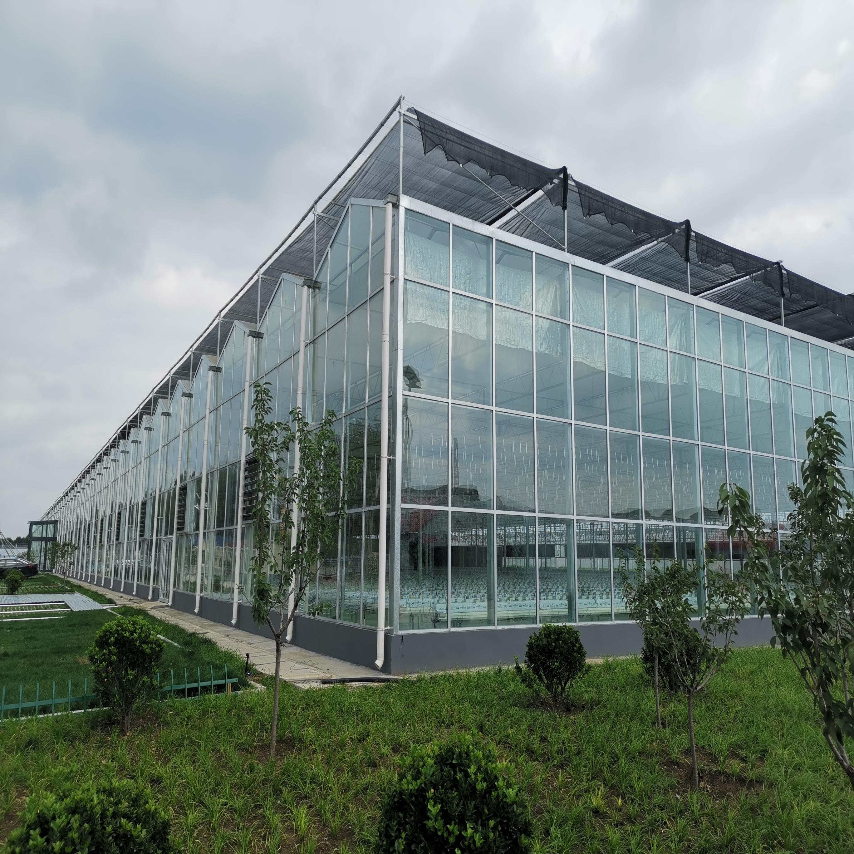 Multi-span chinese glass greenhouse with hydroponic system for farming