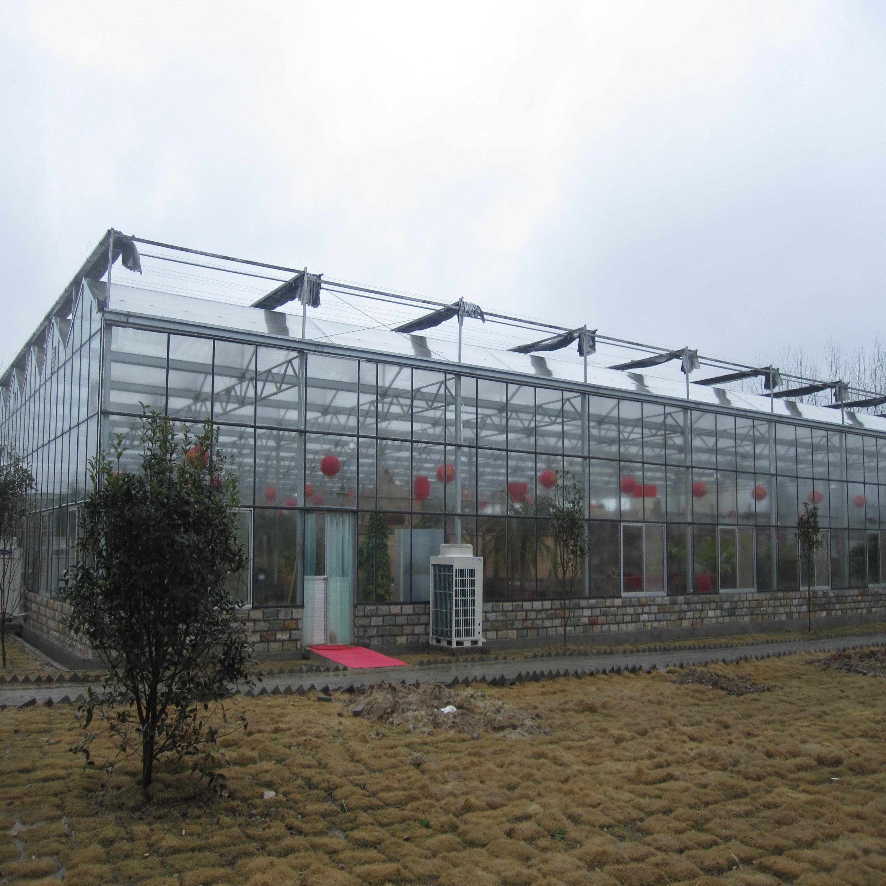 Multi-span chinese glass greenhouse with hydroponic system for farming