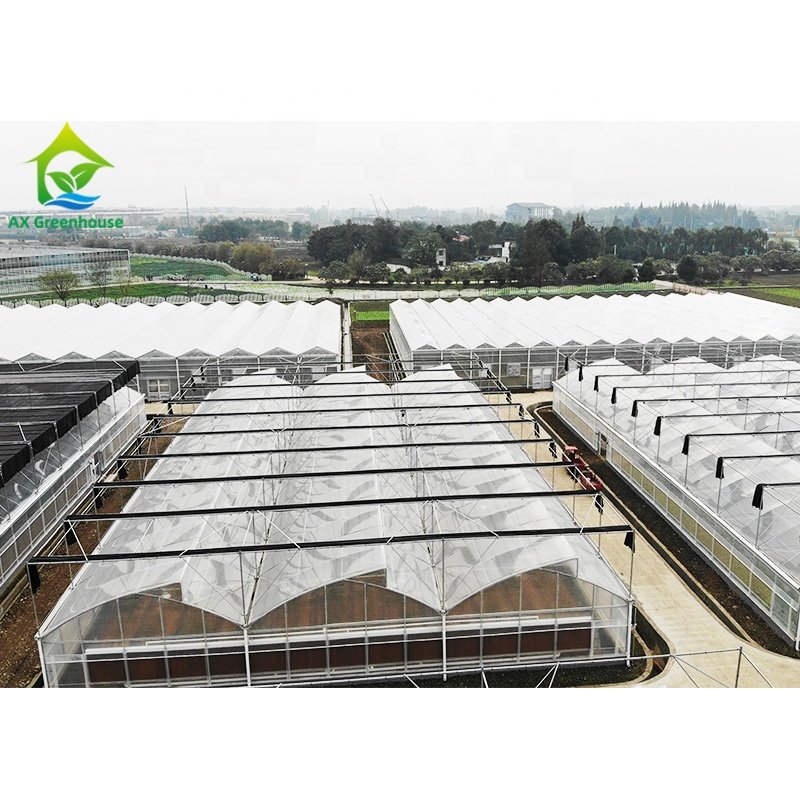 Hot Dip Galvanized Metal Frame Multi-span Poly Tunnel 200 Micron Plastic Film Cover Greenhouse Kit With Blackout Shading System