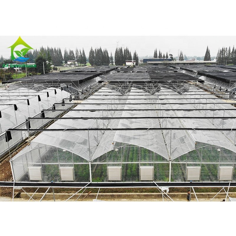Hot Dip Galvanized Metal Frame Multi-span Poly Tunnel 200 Micron Plastic Film Cover Greenhouse Kit With Blackout Shading System