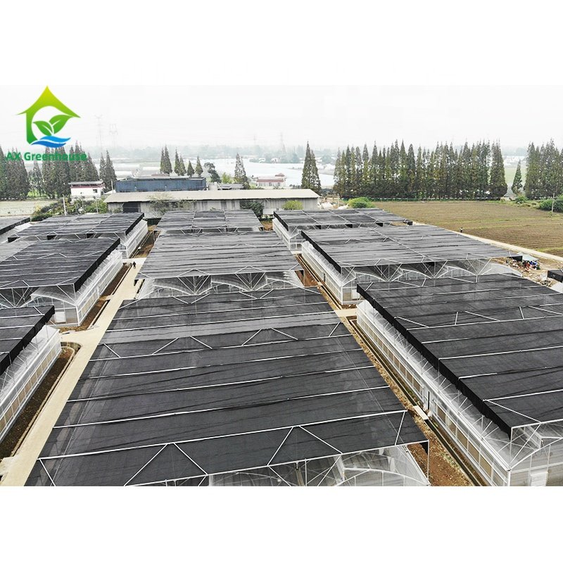 Hot Dip Galvanized Metal Frame Multi-span Poly Tunnel 200 Micron Plastic Film Cover Greenhouse Kit With Blackout Shading System