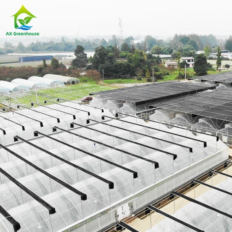 Hot Dip Galvanized Metal Frame Multi-span Poly Tunnel 200 Micron Plastic Film Cover Greenhouse Kit With Blackout Shading System