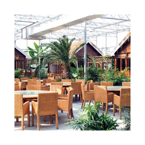 Low Price Agricultural Greenhouse Glass Large Plant Growing Vegetable Fruits Flowers Large Mushroom Green house