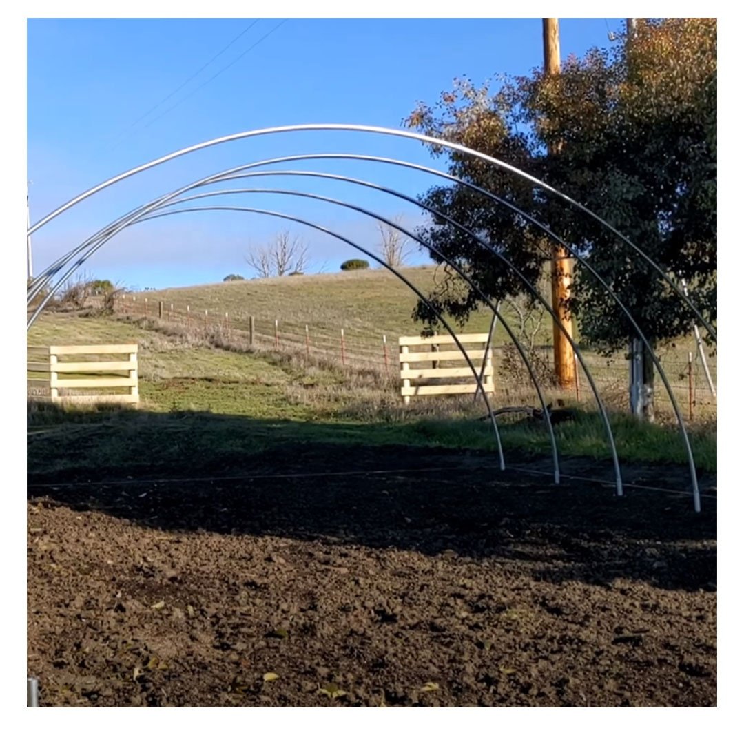 TYT Multi or single Span Film PE Greenhouse High Tunnel Hoop house for Agricultural Commercial