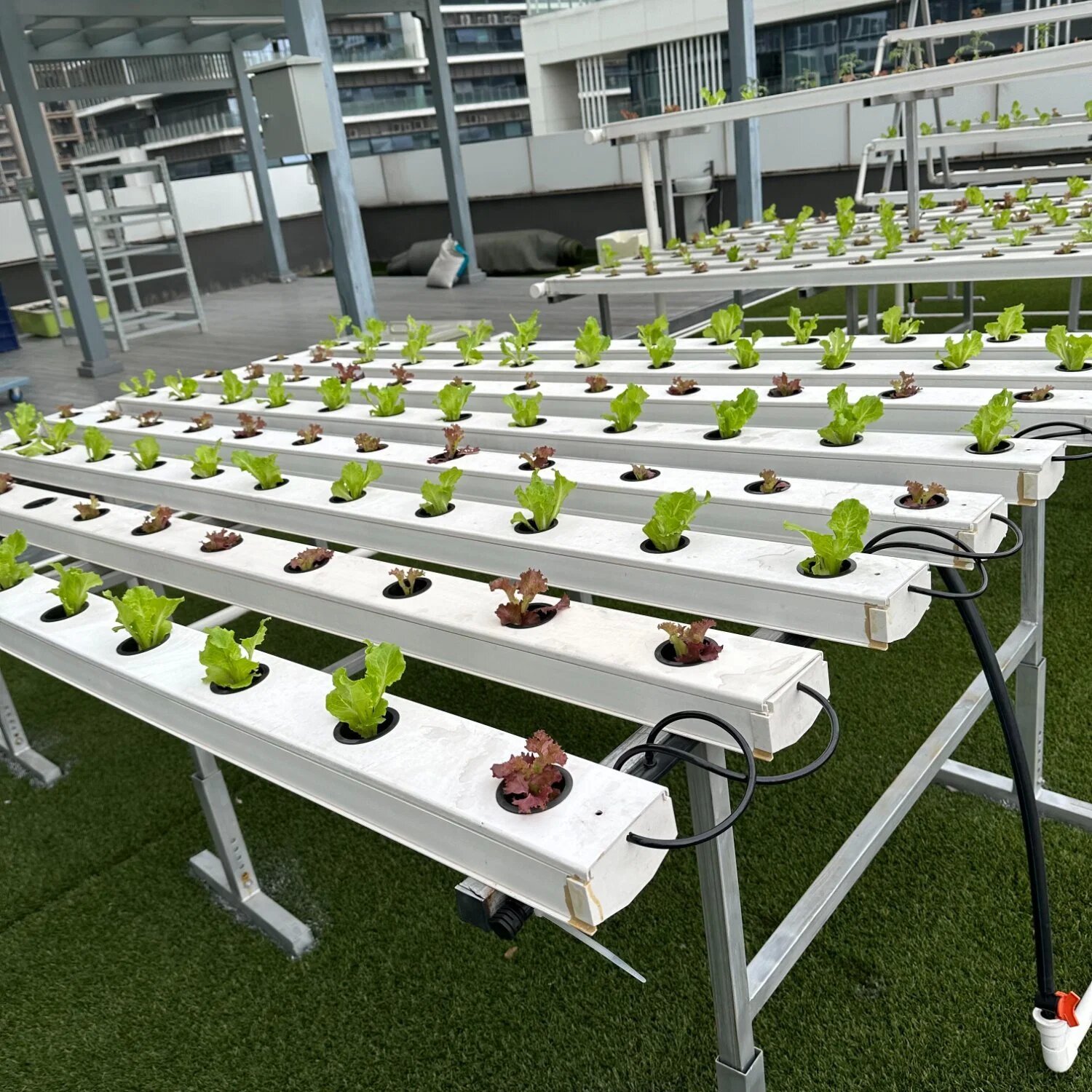 Foodgrade Vegetables Nft Hydroponic Growing Systems nft channel Gutter Planting Trough Farm Hydroponics equipment for tomato