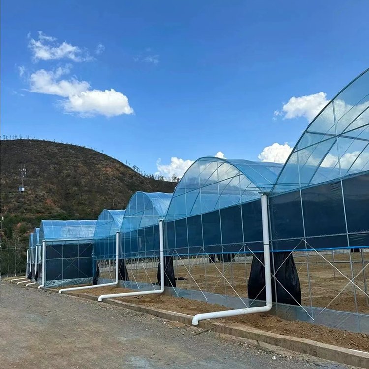 Agricultural Greenhouse vegetable greenhouse hoop green house Commercial Economic Tunnel Plastic Film Tomato Greenhouse