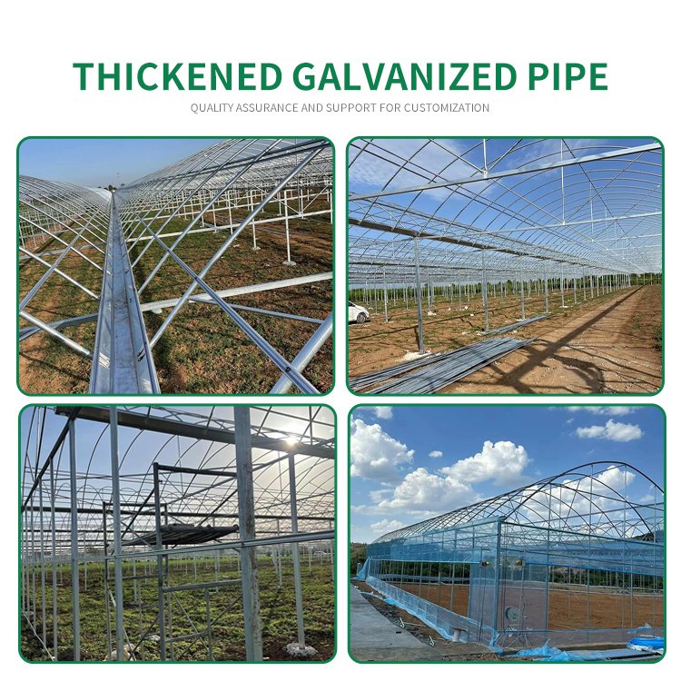 Agricultural Greenhouse vegetable greenhouse hoop green house Commercial Economic Tunnel Plastic Film Tomato Greenhouse
