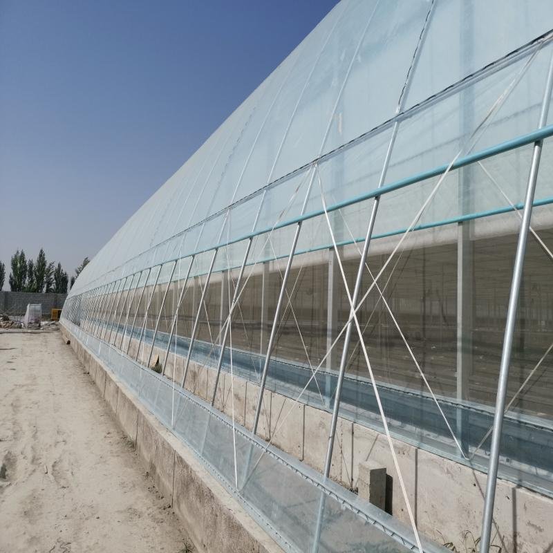 The Cheapest Hot Sale Commercial Plastic Film Greenhouse Planting Vegetable Agricultural Greenhouses