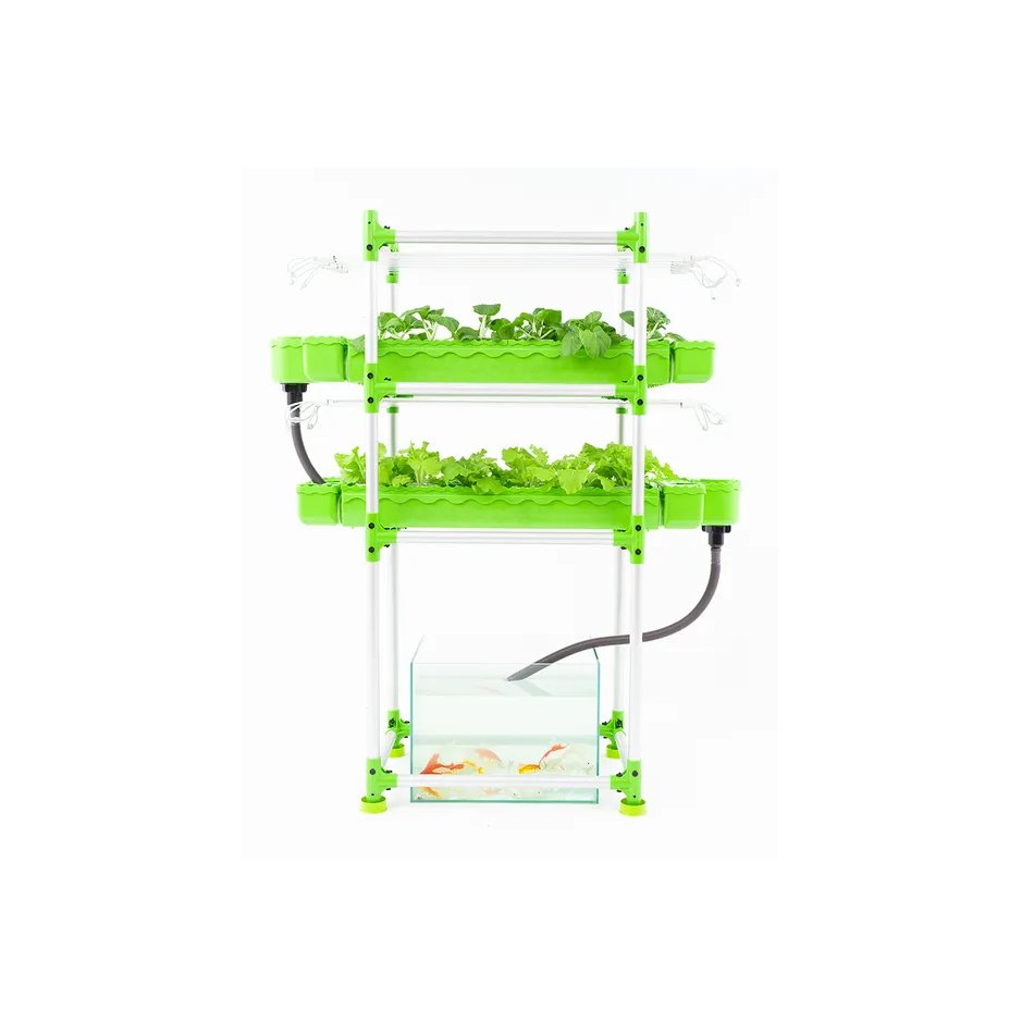 Agricultural Greenhouse Hydroponics System Aquaponic System For Indoor Plants Hot Sale