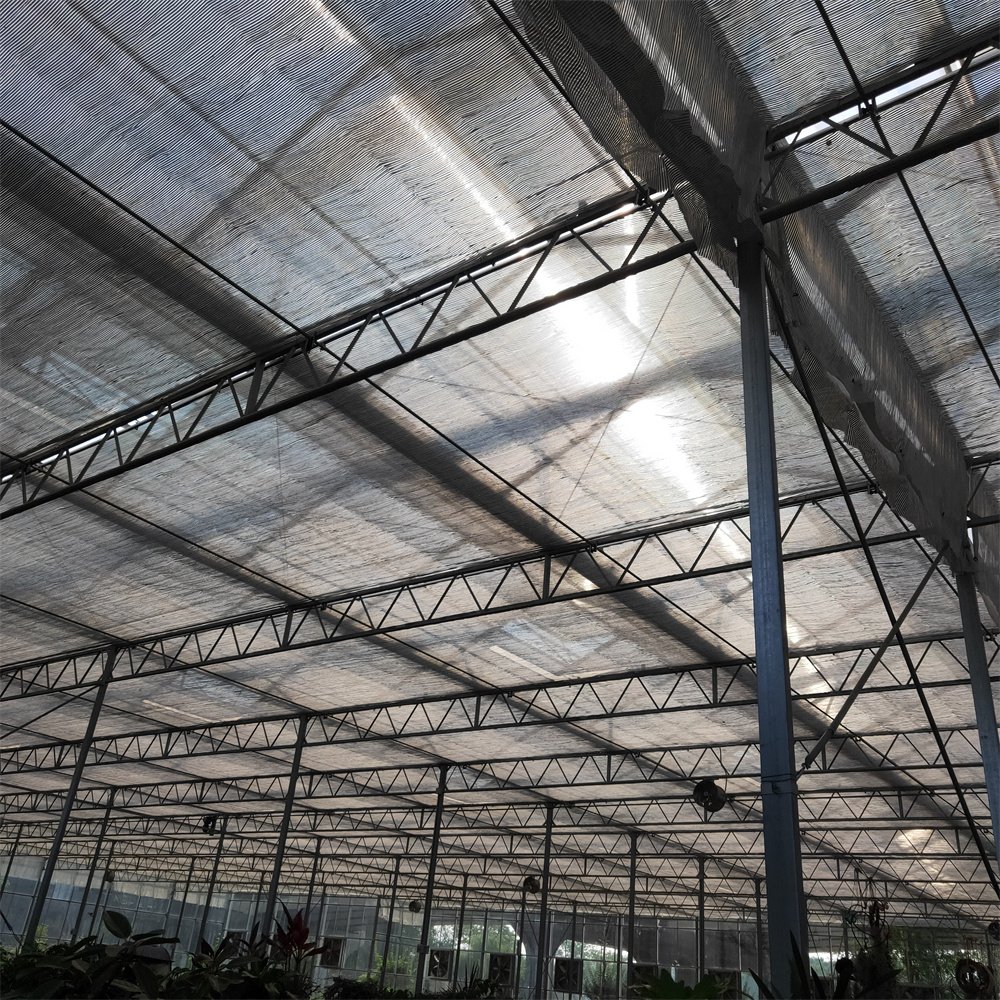 Automated plant hydroponics greenhouse glass wall automation system glass greenhouse for tomato strawberry
