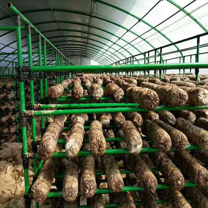 Hot dip galvanized steel pipe industrial insect net mushroom vertical greenhouse