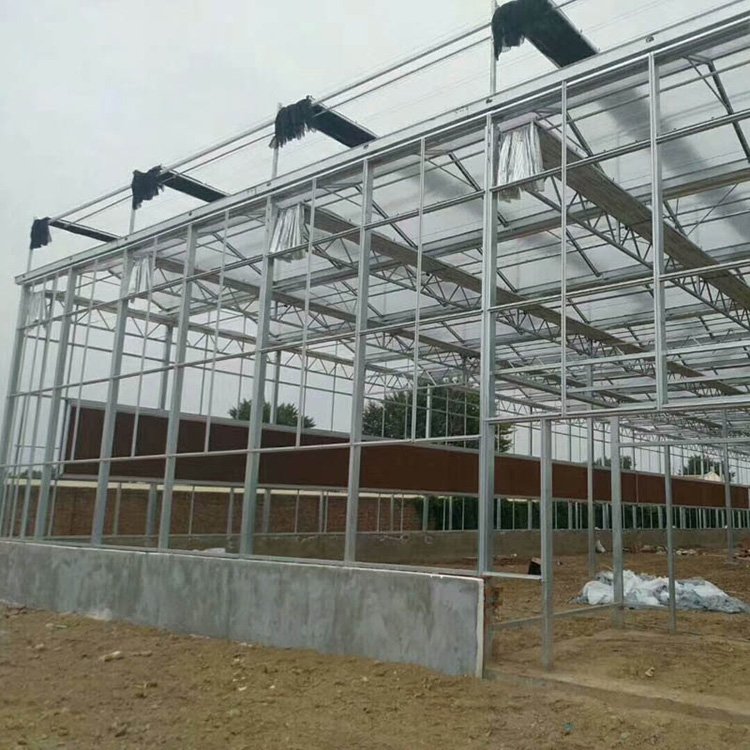 Hot selling Low-cost Multi-span greenhouse Glass external shading system