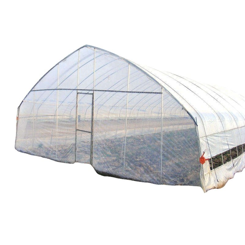 Low cost good quality plastic shading single greenhouse for agricultural farm
