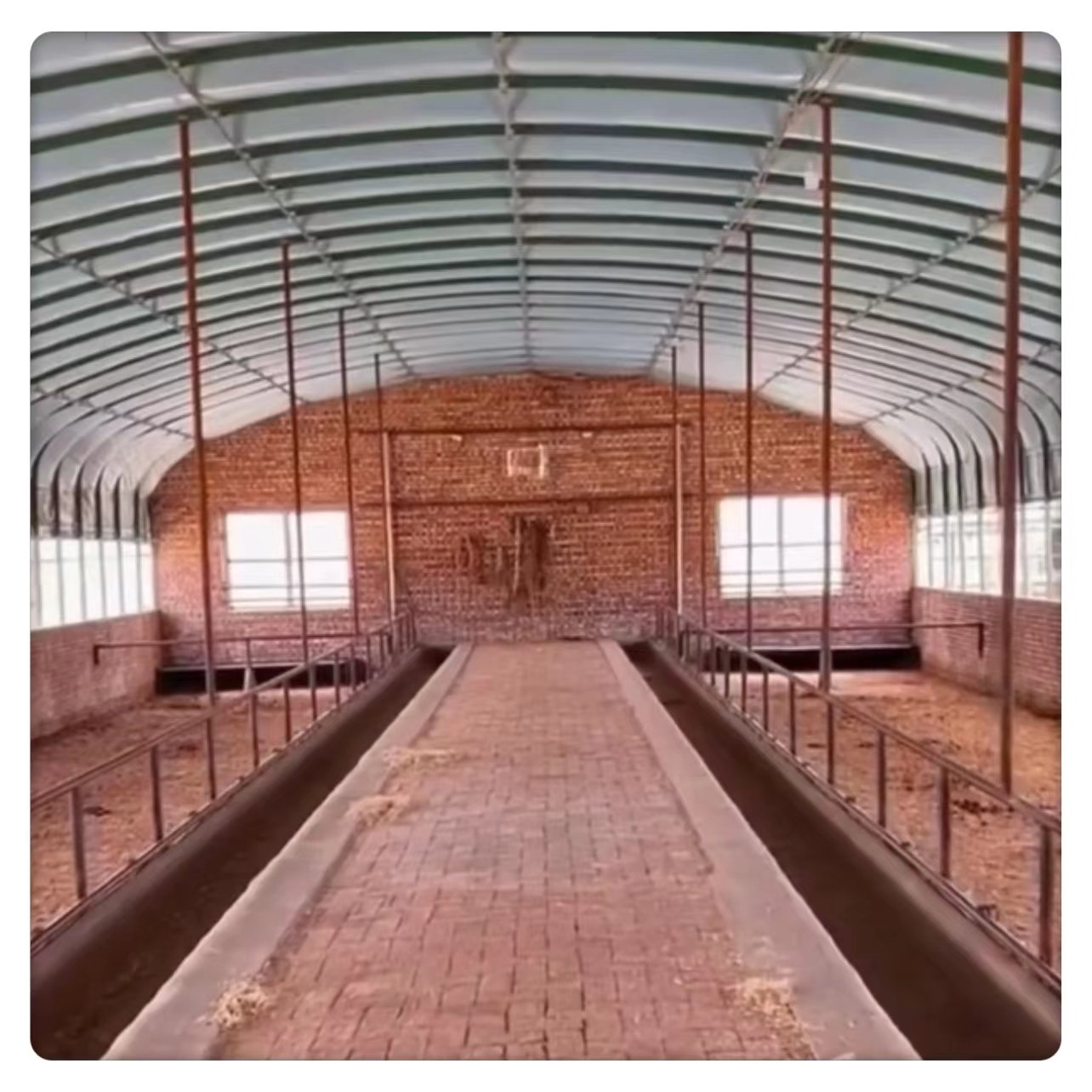 Corrosion-Resistant Galvanized Steel Film Material Chicken Coop Breeding and Agriculture Greenhouse
