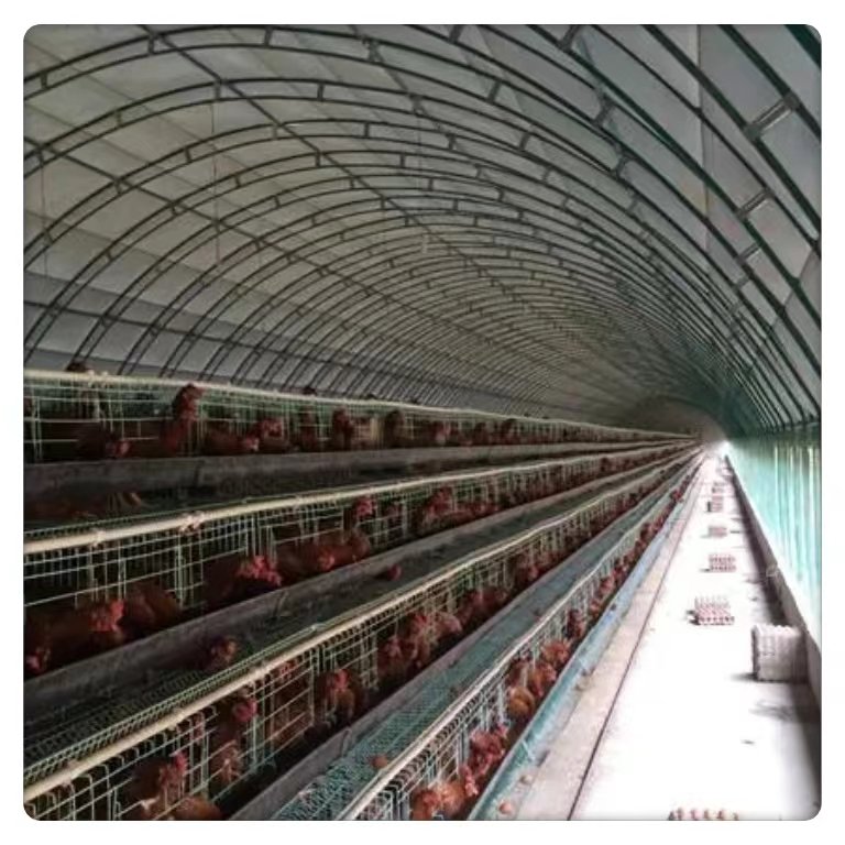 Corrosion-Resistant Galvanized Steel Film Material Chicken Coop Breeding and Agriculture Greenhouse
