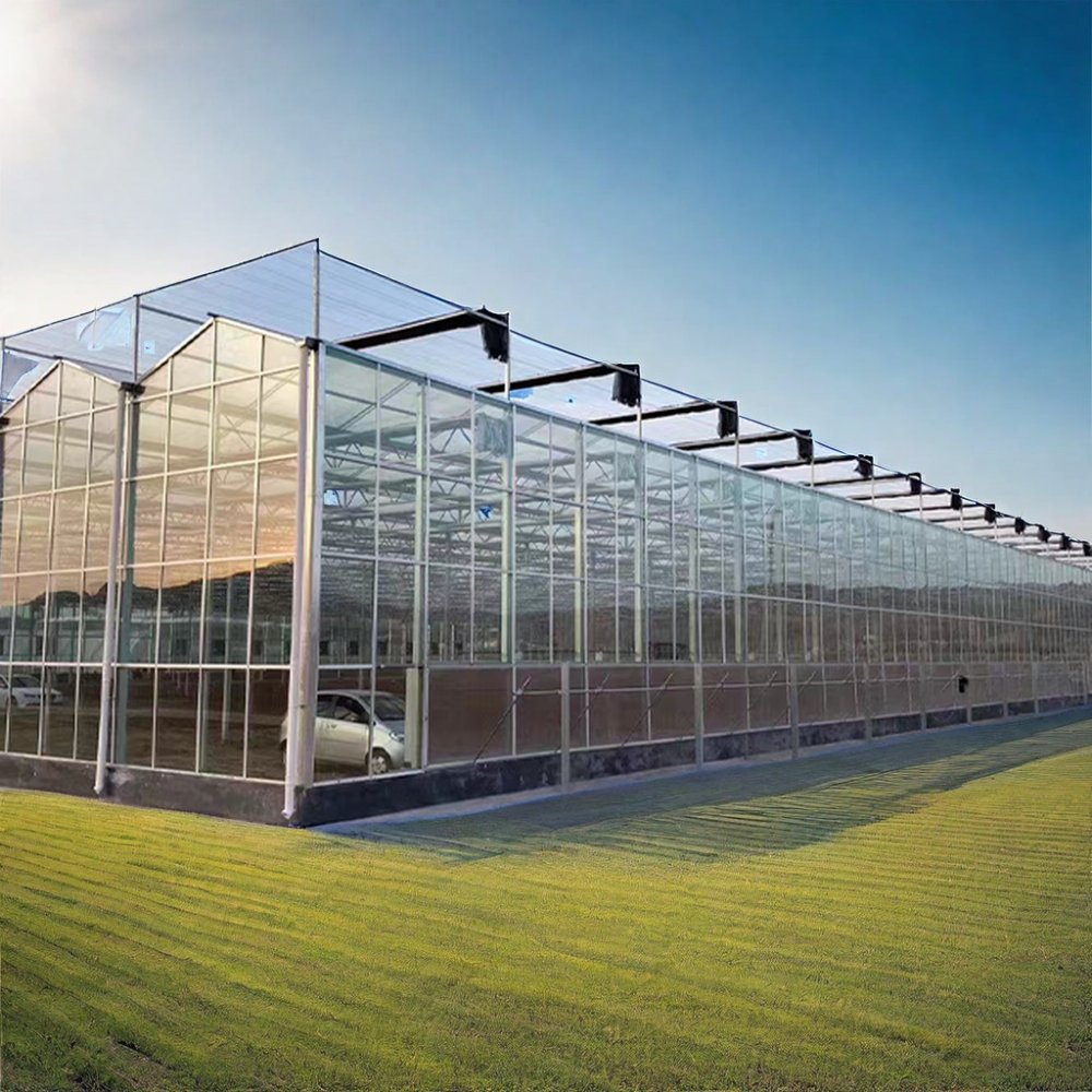 Large Agricultural Greenhouses with Multi-Span Frame Galvanized Steel and Glass for Outdoor Planting