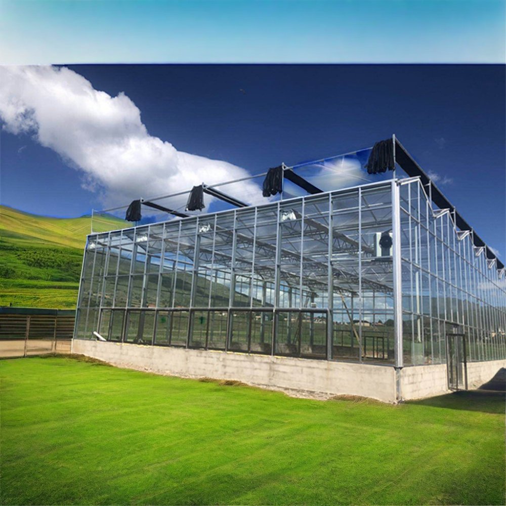 Large Agricultural Greenhouses with Multi-Span Frame Galvanized Steel and Glass for Outdoor Planting