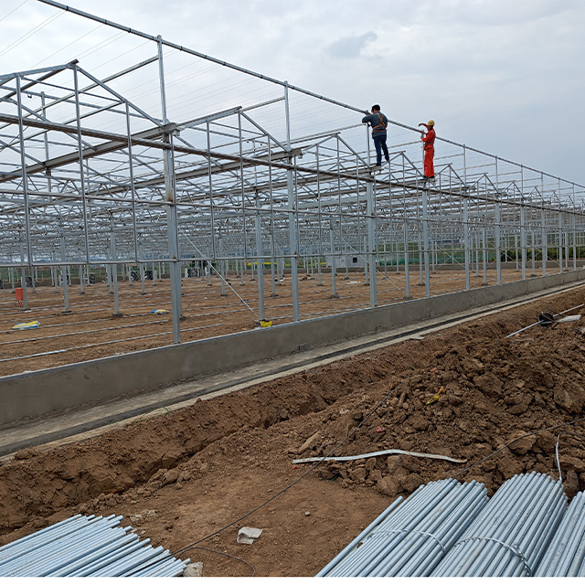 Large Agricultural Greenhouses with Multi-Span Frame Galvanized Steel and Glass for Outdoor Planting