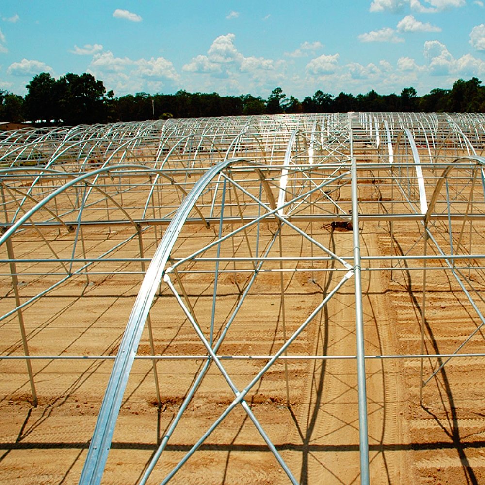 Large Gothic Arch Greenhouse for Pepper Low Cost a Frame Serre Agricole Single Layer PE Steel with Film Material for Agriculture