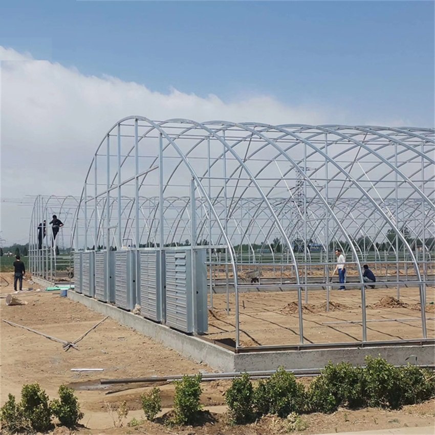 High Strength Commercial Agricultural Poly Arch Green house Single-Span Agriculture Greenhouse For Sale