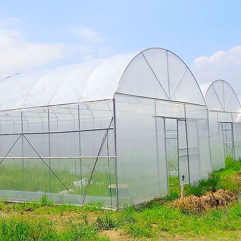 High Strength Commercial Agricultural Poly Arch Green house Single-Span Agriculture Greenhouse For Sale